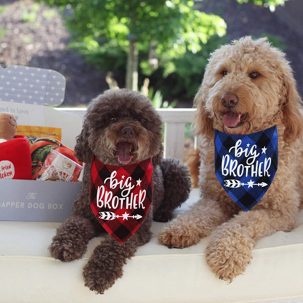 Big Brother Plaid Dog Bandana Pregnancy Announcement Dog Bandana Gender Reveal Photo Prop Pet Scarf Accessories Pet Scarves