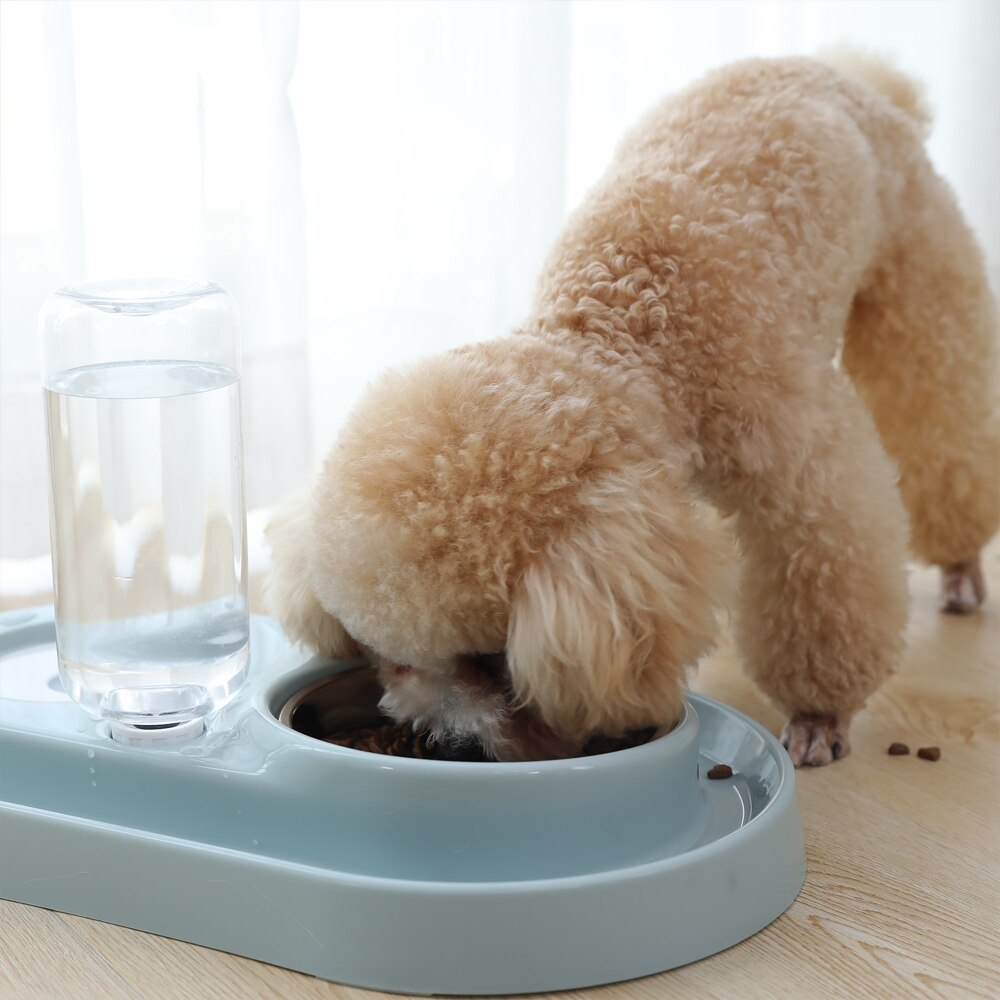 HOOPET Automatic Feeding Bowl For Cat Pet Water Feeder Kitten Drinking Fountain Food Dish Pet Goods Save Food Dog Bowl Suppliers