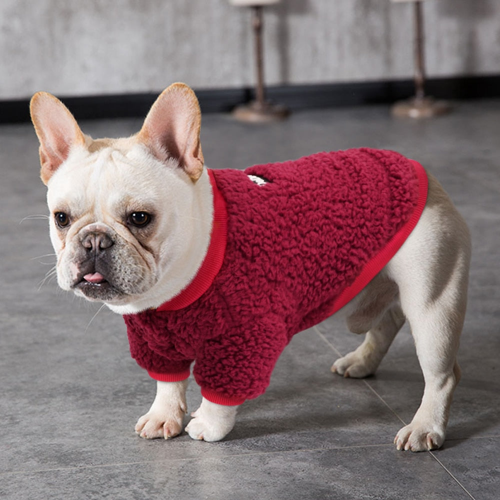Chihuahua Clothes Small Dog Coat Jacket Winter Clothes for Dog Puppy Pet Clothing for Small Medium Dogs Yorkie French Bulldog