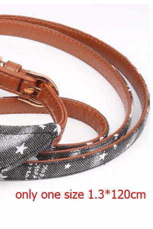 Cute Stars Pets Dog Collars Leather Bowknot Collar Leash Set for Small Medium Dogs Bulldog/Pug Necklace Bandana Pet Leashes