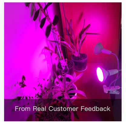 Goodland Phytolamp Full Spectrum LED Grow Light E27 Phyto Lamp For Plants Plant Lamp For Seedlings Flower Fitolamp Grow Tent