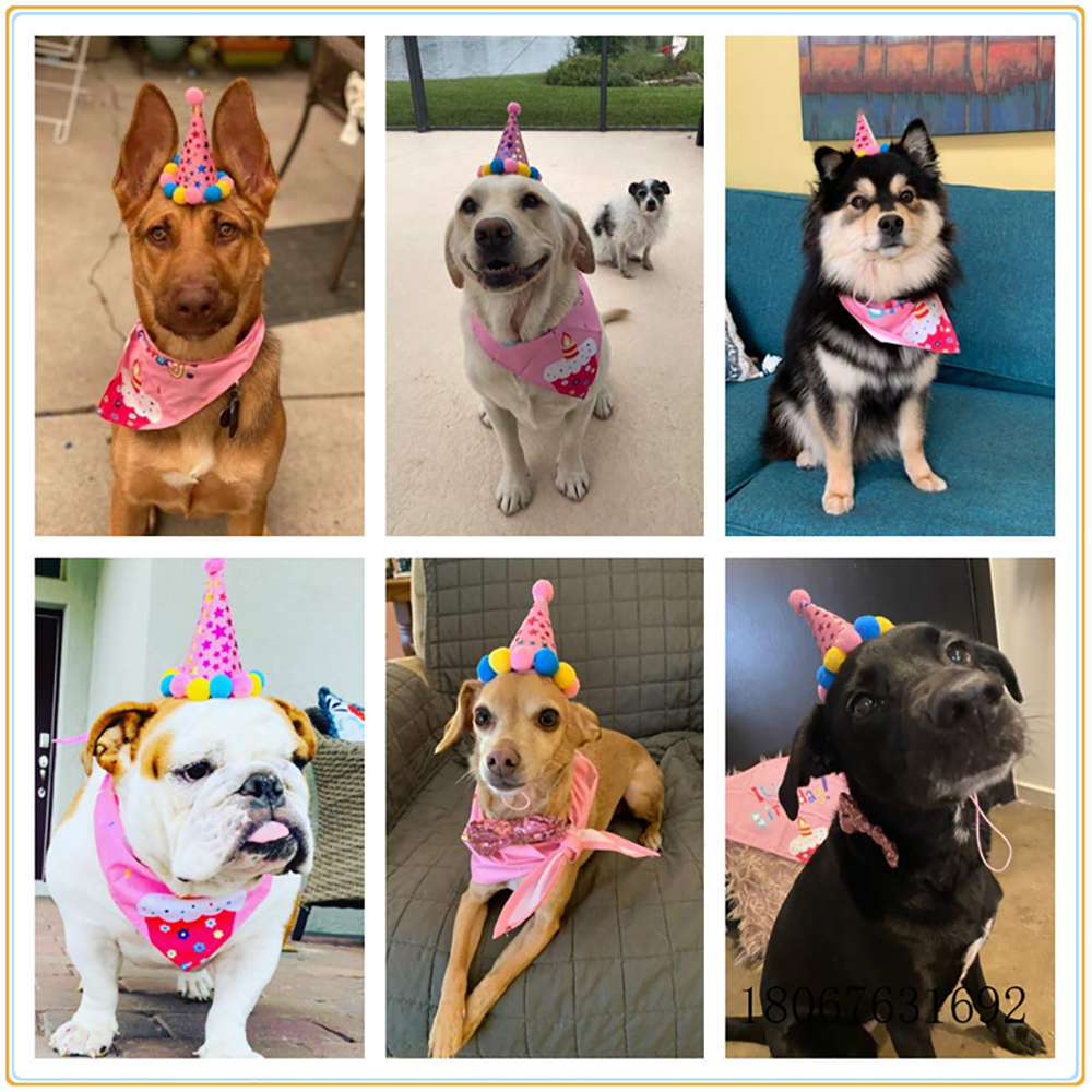 Pet Dogs Caps Dog Bandana Crown Hats with Rope Cute Cat Dog Birthday Costume Christmas New Year Decoration Pets Accessories
