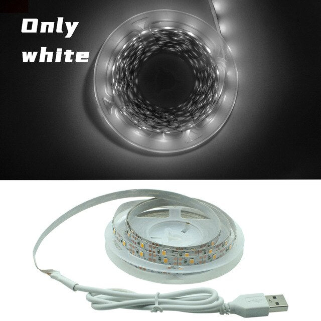 LED Strip Light Flexible Lamp 1M 2M 3M 4M 5M Tape Diode SMD 2835 DC5V Desk Screen TV Background Lighting USB Cable 3 Key Control