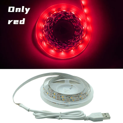 LED Strip Light Flexible Lamp 1M 2M 3M 4M 5M Tape Diode SMD 2835 DC5V Desk Screen TV Background Lighting USB Cable 3 Key Control