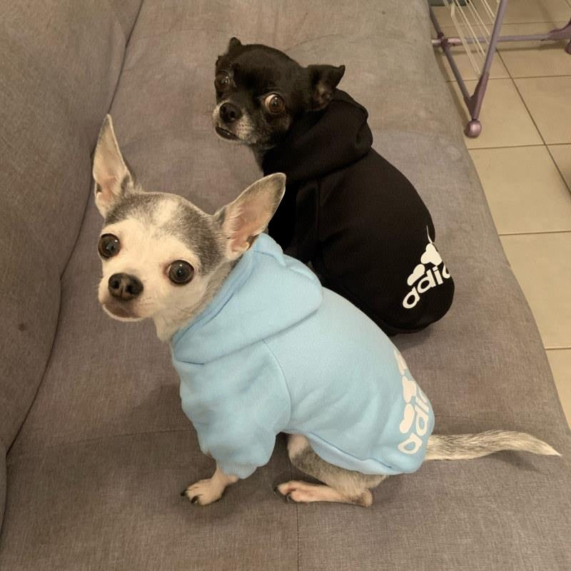 Soft Fleece Pet Dog Clothes Dogs Hoodies Warm Sweatshirt Pet Costume Jacket For Chihuahua French Bulldog Labrador Dogs Clothes