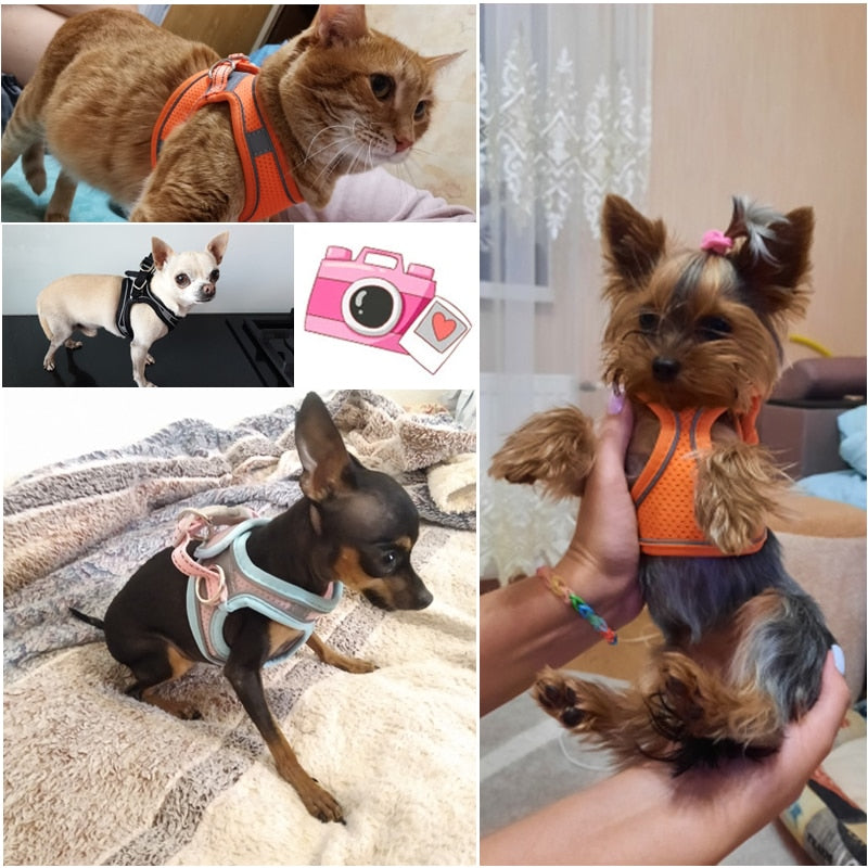 Reflective Pet Harness Dogs Strap With Leash Adjustable Nylon Harness Vest Breathable Collars For Chihuahua Small Large Dogs