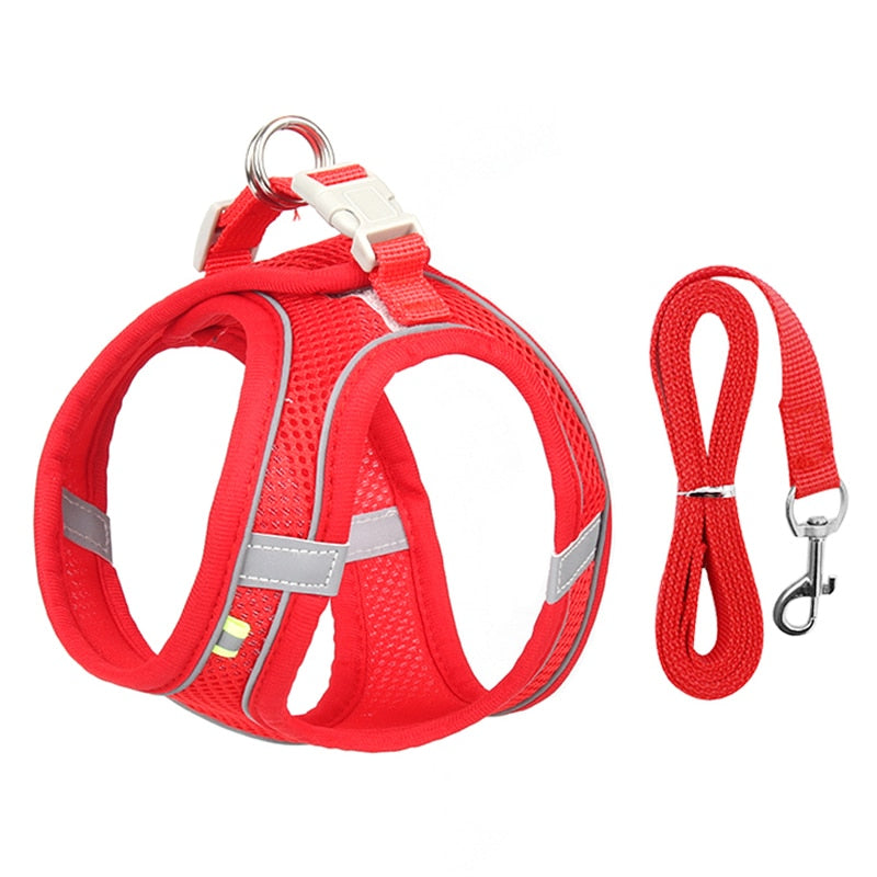 Escape Proof Cat Harness and Leash Set Adjustable Mesh Dog Harness Vest Puppy Pet Walking Lead Leash Small Dogs Cats Kitten XXS