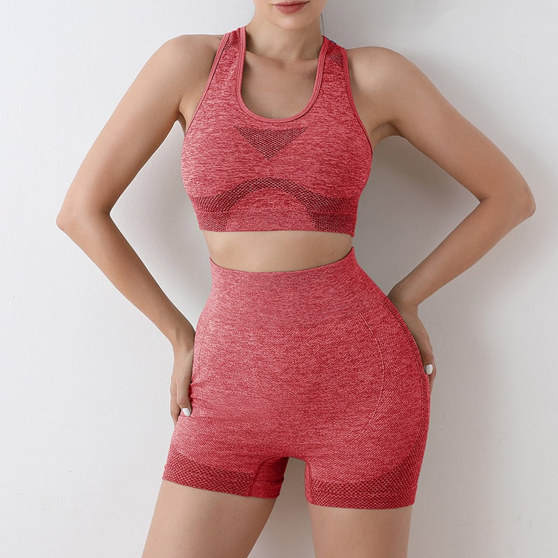 Yoga Set Gym Shorts Women Sport Bras Brassiere Workout Tops for Women Yoga Clothes Fitness Leggings Gym Set Seamless Yoga Sets