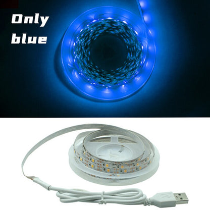 LED Strip Light Flexible Lamp 1M 2M 3M 4M 5M Tape Diode SMD 2835 DC5V Desk Screen TV Background Lighting USB Cable 3 Key Control