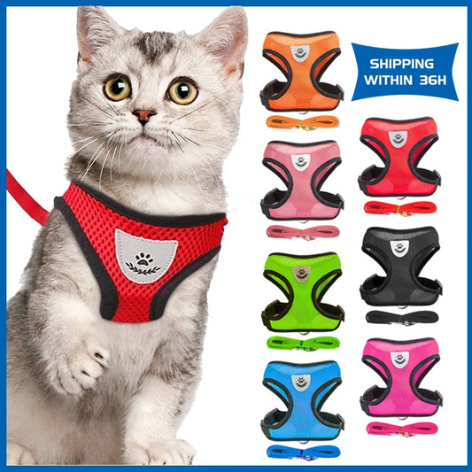 Polyester Mesh Cat Harness and Leash Set Breathable Kitten Collar Necklace Chihuahua Pug Small Dog Chest Strap Pet Accessories