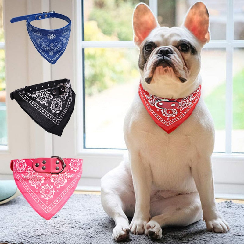 PU Cat Dog Collar with Bandanas for Small Medium Dogs Cats French Bulldog Corgi Puppy Kitten Accessories Low Price Pet Products